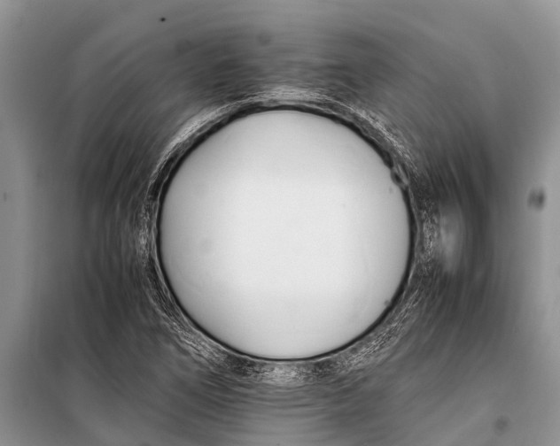 X0000098191266200805151156