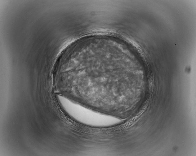 X0000098191267200805151156