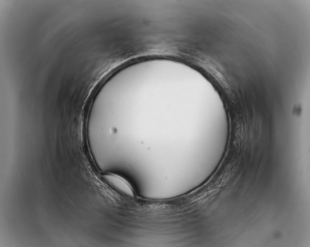 X0000098191268200805151156