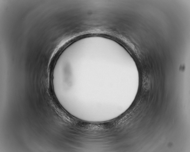 X0000098191270200805151156