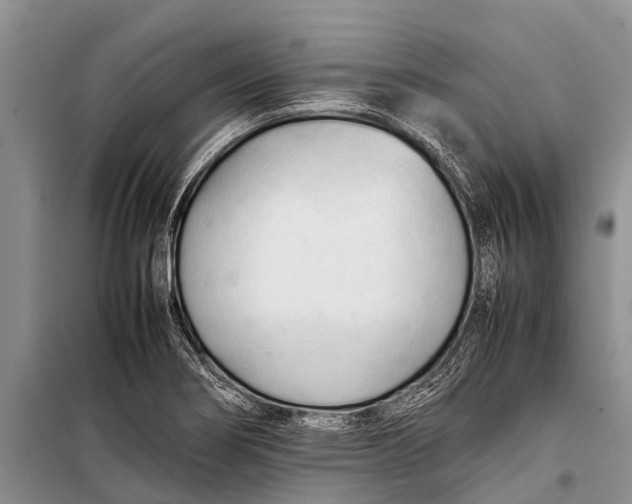 X0000098191274200805151156