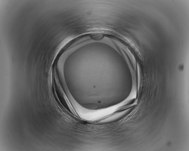 X0000098191275200805151156