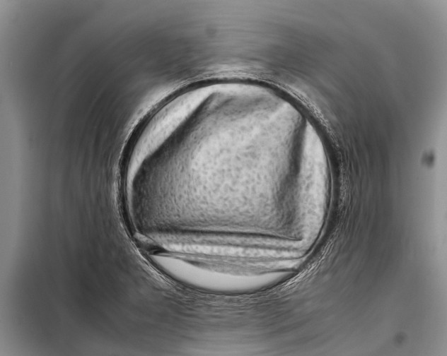 X0000098191277200805151156