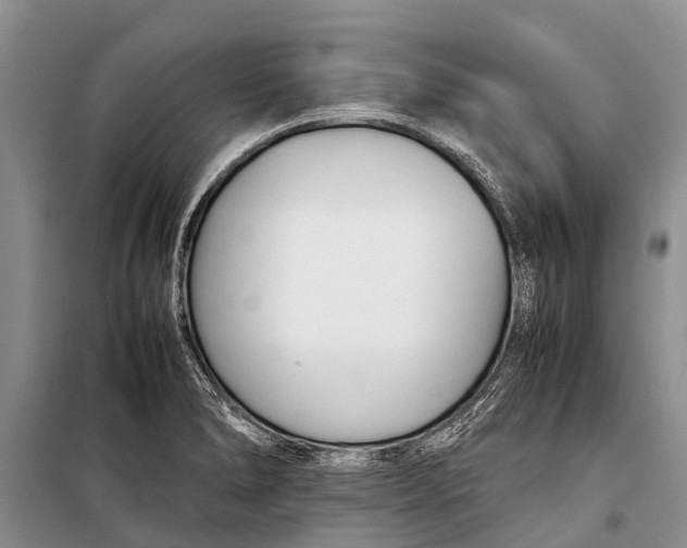 X0000098191278200805151156