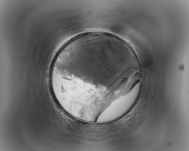 X0000098191279200805151156