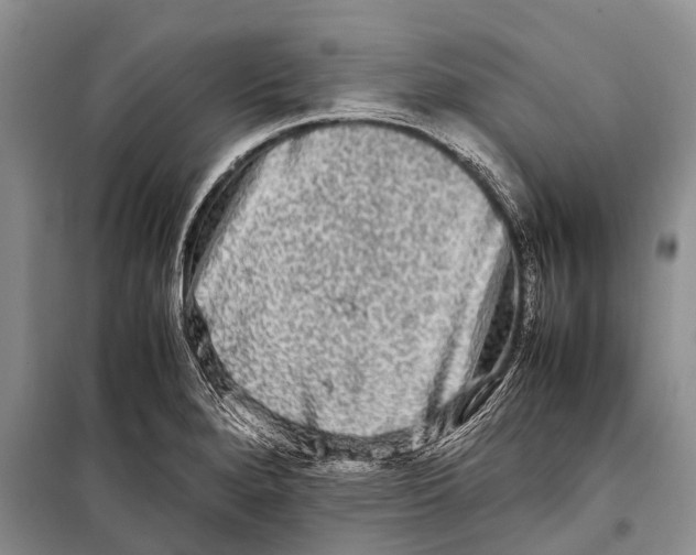 X0000098191280200805151156