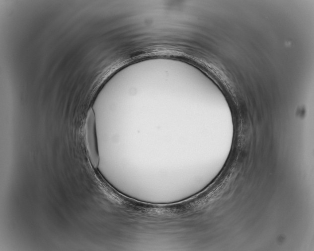 X0000098191281200805151156