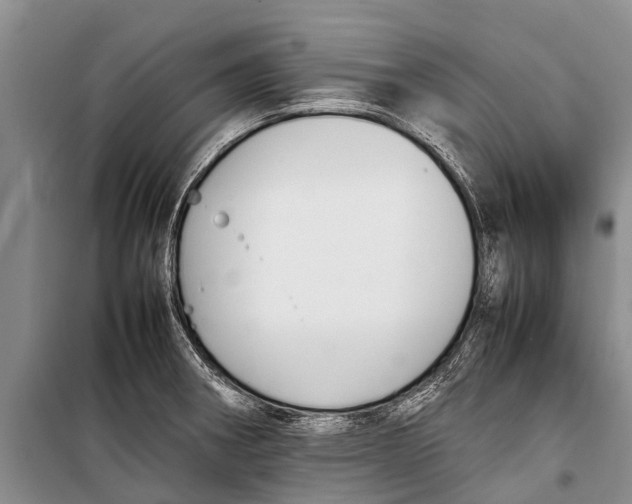 X0000098191282200805151156