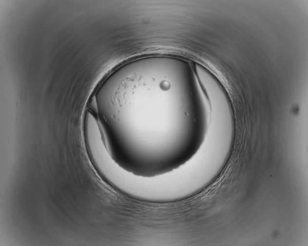 X0000098191283200805151156