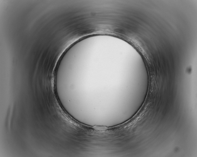 X0000098191284200805151156