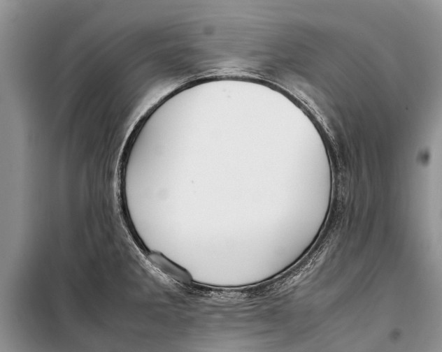 X0000098191285200805151156