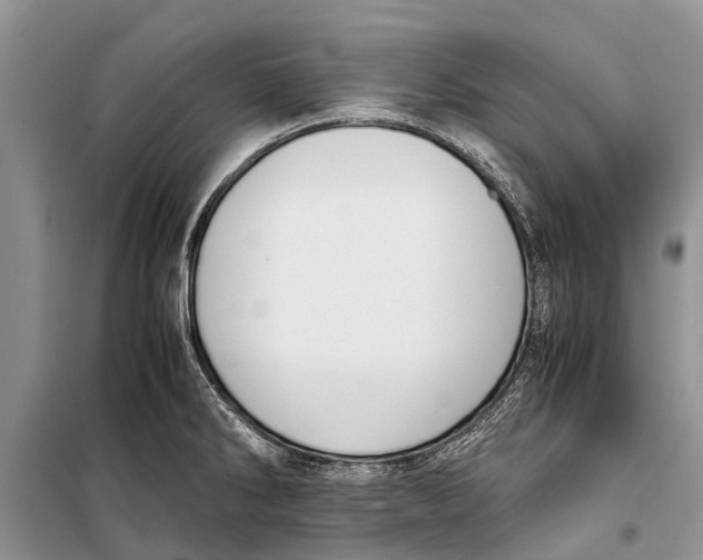 X0000098191286200805151156