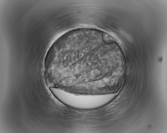 X0000098191287200805151156