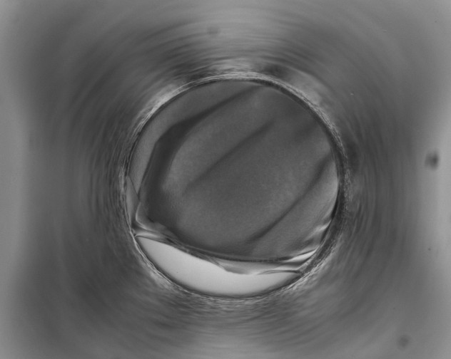 X0000098191289200805151156