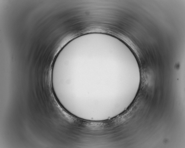 X0000098191290200805151156