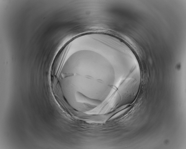 X0000098191291200805151156