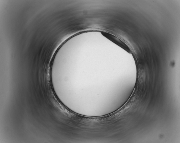 X0000098191292200805151156