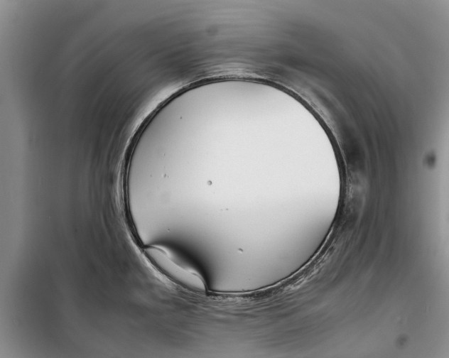 X0000098191293200805151156