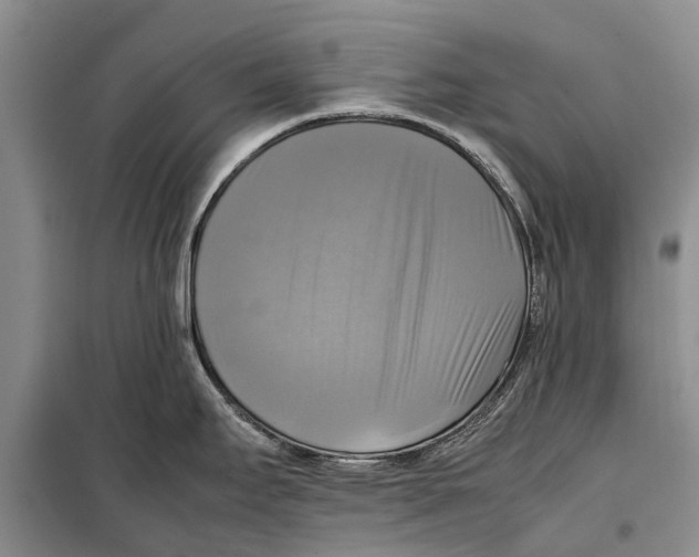 X0000098191295200805151156