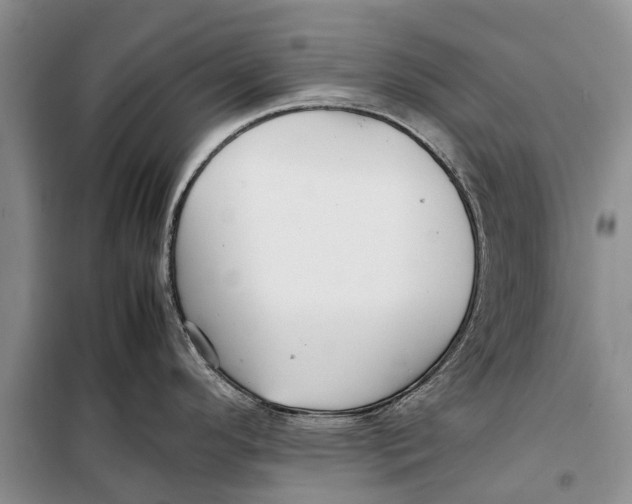 X0000098191296200805151156