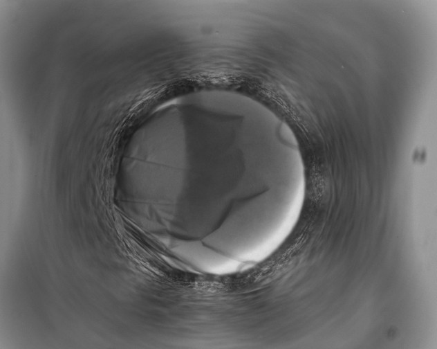 X0000098191297200805151155