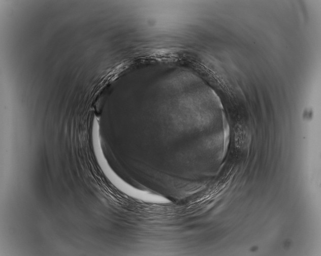 X0000098191298200805151155
