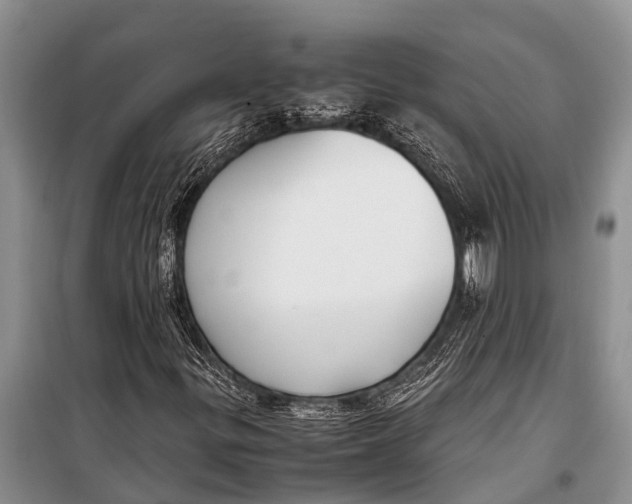 X0000098191299200805151155