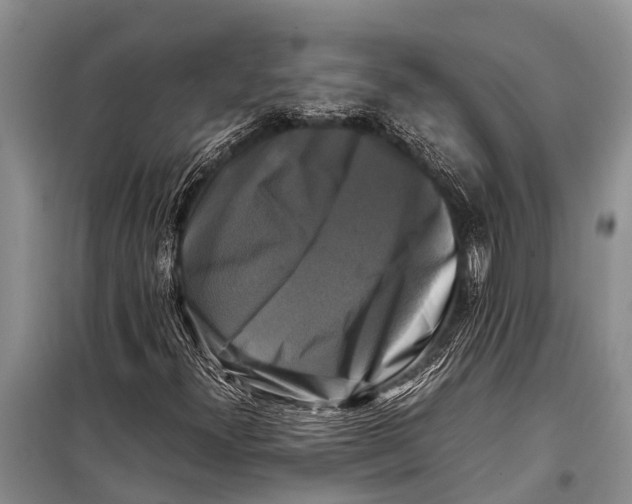 X0000098191300200805151155