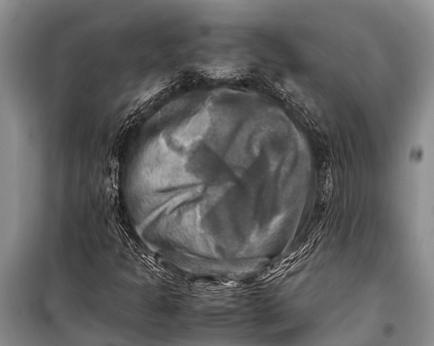 X0000098191301200805151155