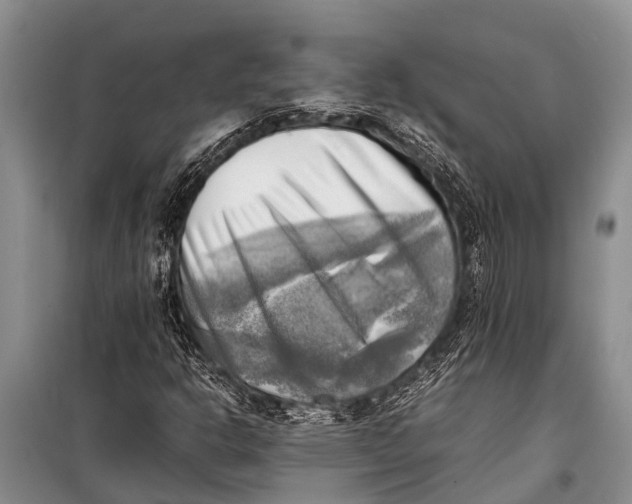 X0000098191302200805151155