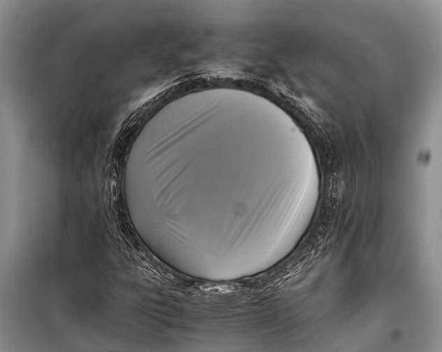 X0000098191303200805151155