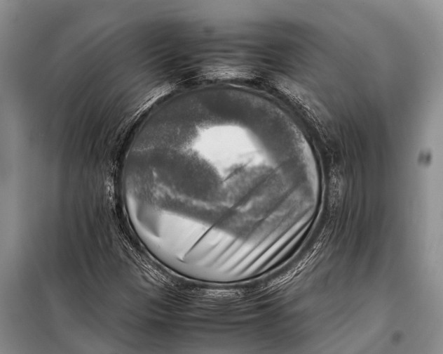 X0000098191305200805151155
