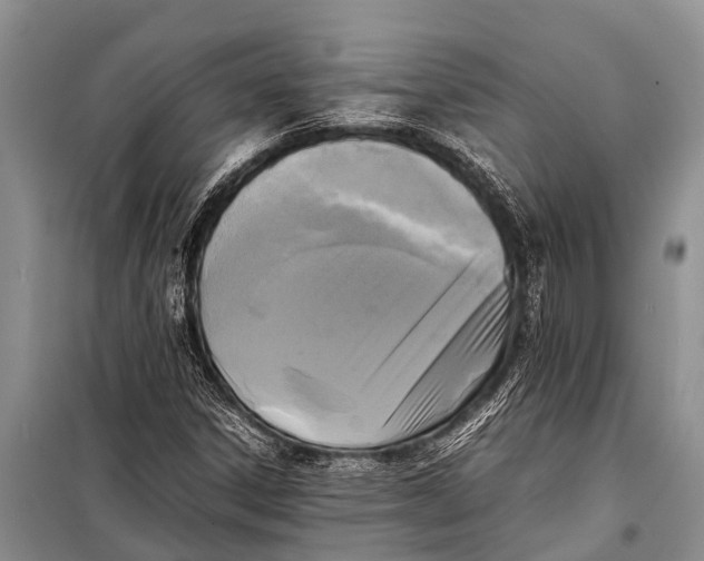 X0000098191306200805151155