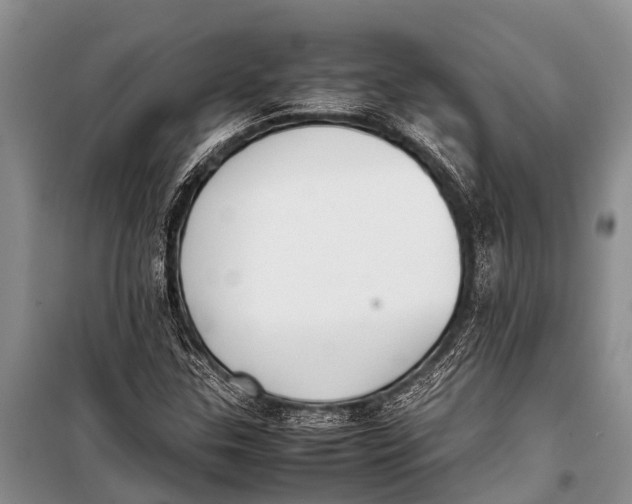 X0000098191307200805151155