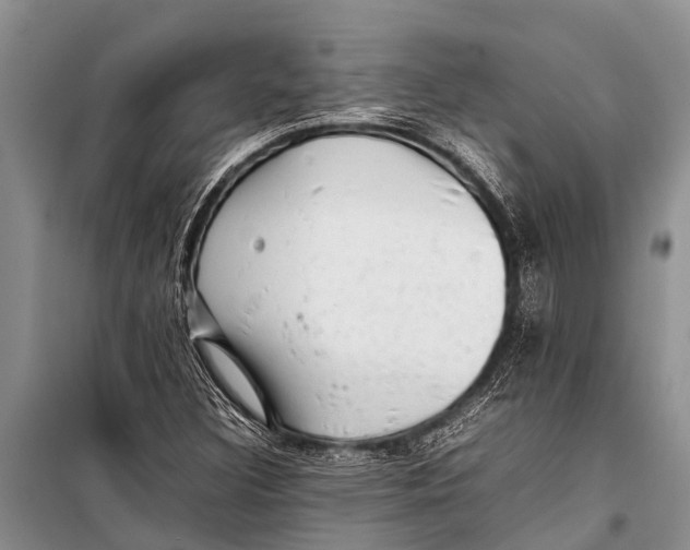X0000098191308200805151155