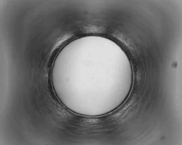 X0000098191309200805151155