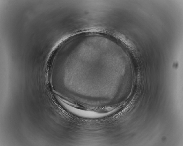 X0000098191310200805151155