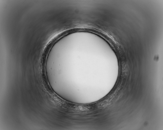 X0000098191311200805151155