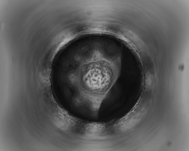 X0000098191314200805151155