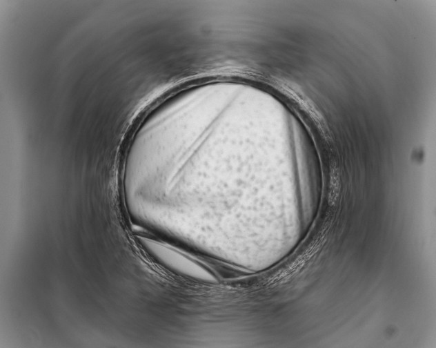 X0000098191316200805151155