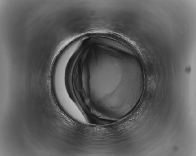 X0000098191319200805151155