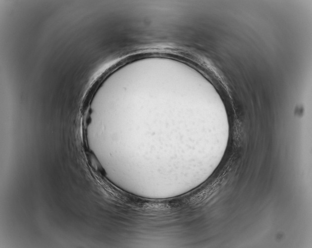 X0000098191320200805151155