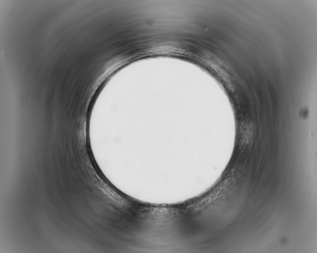 X0000098191322200805151155