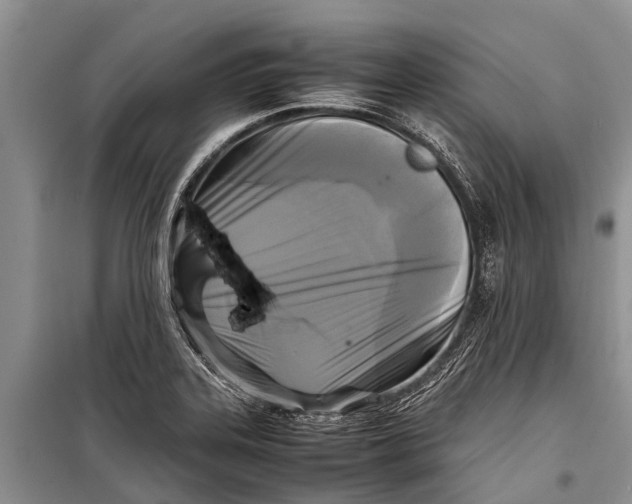 X0000098191323200805151155