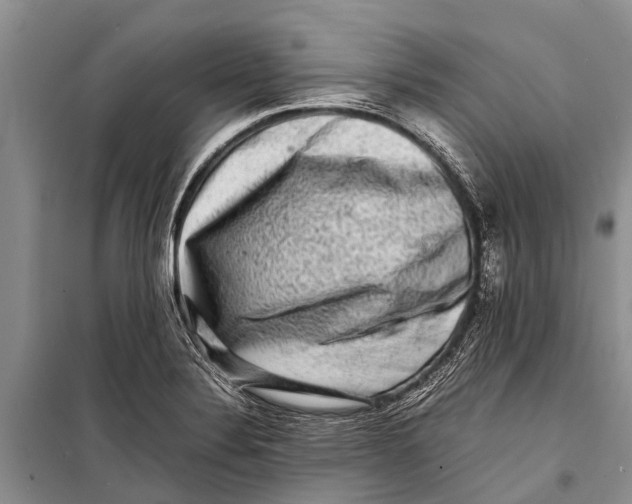 X0000098191324200805151155