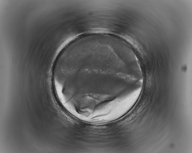 X0000098191325200805151155