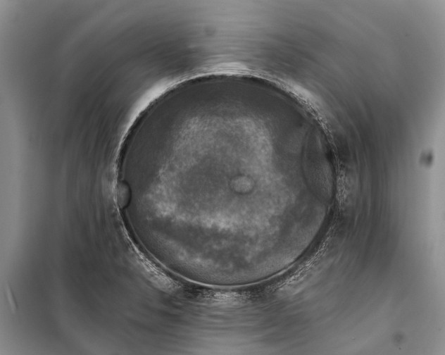 X0000098191326200805151155