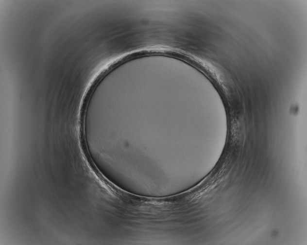 X0000098191327200805151155