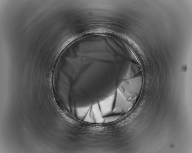 X0000098191329200805151155