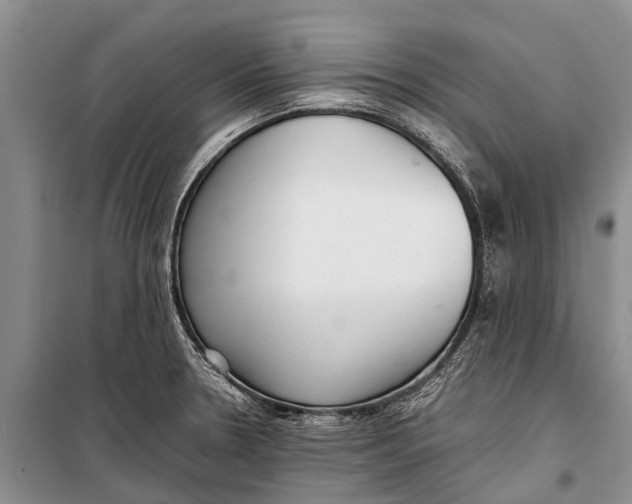 X0000098191330200805151155